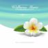 건강 100세 인생을 위한 웰니스 뮤직 스페셜 (3CD)