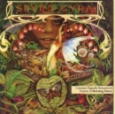 Spyro Gyra(스파이로 자이) -  Morning Dance  (Best Seller 30 캠페인)