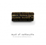 SALTACELLO - BEST OF SALTACELLO