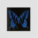 송소희 - ﻿공중무용