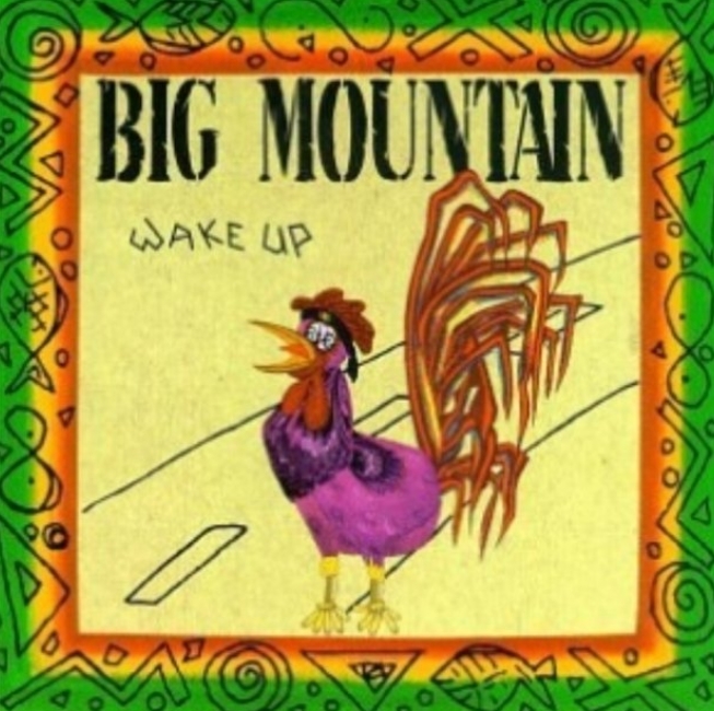 BIG MOUNTAIN - WAKE UP