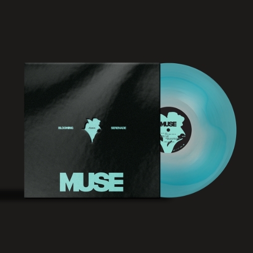 지민 (JIMIN) - ﻿MUSE ﻿(LP)