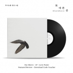 루시드폴 11집 - ﻿또 다른 곳 (LP)