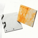 V8 (SEVENTEEN) 1st Mini Album - V8 (﻿PHOTOBOOK)