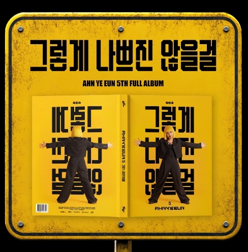 안예은  (AHN YE EUN) 5집 - ﻿그렇게 나쁘진 않을걸