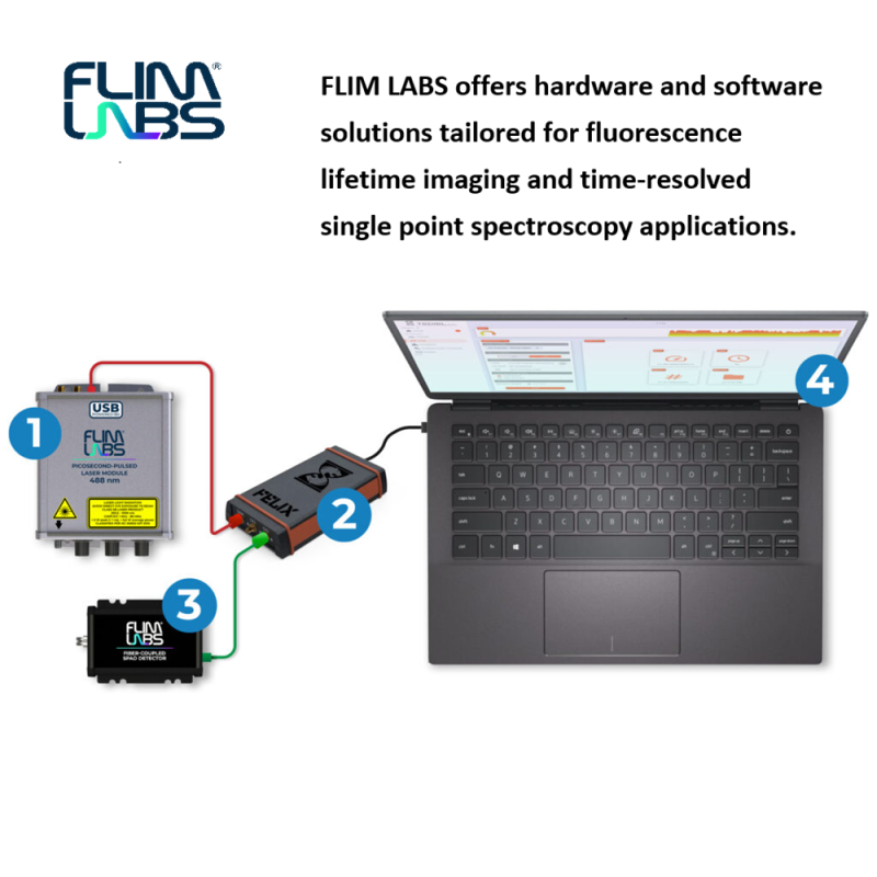 Quantum products _ FLIMLABS