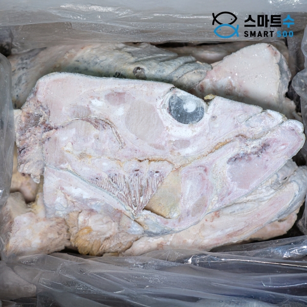 메로 머리 슬라이스 10KG