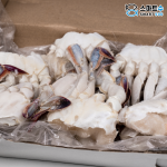 냉동절단꽃게 5.4kg