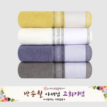 아날도바시니 체인전사40