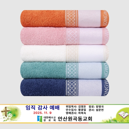 송월 패턴전사