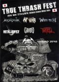 V.A. / True Thrash Fest 2010 - DVD (NEW)