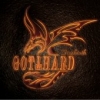 GOTTHARD / Firebirth +1 (NEW)