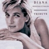 V.A. / Diana Princess Of Wales : Tribute 2CD (USED)
