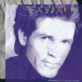 DAVID SANBORN / Pearls (USED)