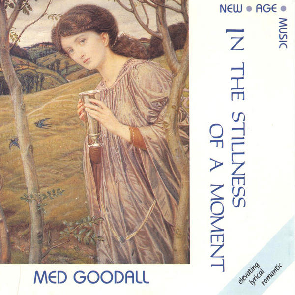 MED GOODALL / In the Stillness of a Moment (USED)