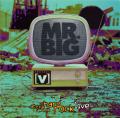 MR.BIG / At The Hard Rock Live (USED)