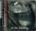 HOLYMARSH / In the Holymarsh (USED)