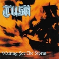 TUSH / Waiting For The Storm (USED)