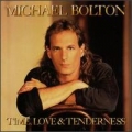 MICHAEL BOLTON / Time Love And Tenderness (USED)