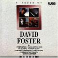 DAVID FOSTER / A Touch Of David Foster (USED)