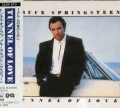 BRUCE SPRINGSTEEN / Tunnel Of Love ~ JAPAN 1ST PRESS (USED)