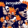 INCOGNITO / Bees + Things + Flowers (USED)