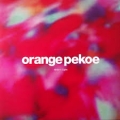 ORANGE PEKOE / Modern Lights - DIGI (USED)