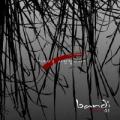 Bandi / 1집 - Bandi Story (USED)