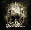 KORN / Take A Look In The Mirror CD+DVD LIMITED EDITION DIGI (USED)