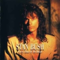STAN BUSH / Every Beat Of My Heart (USED)