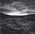 DAVID DARLING / Dark Wood (USED)