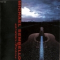 MICHAEL SEMBELLO / Caravan Of Dreams (USED)