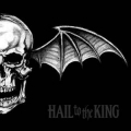 AVENGED SEVENFOLD / Hail To The King - LTD DIGI (USED)