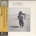 CAMEL / Dust And Dreams - REMASTER LTD LP MINI (USED)