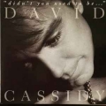 DAVID CASSIDY / Didn't You Used to Be (USED)
