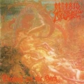 MORBID ANGEL / Blessed Are The Sick (USED)