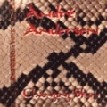ANDRE ANDERSEN / Changing Skin (USED)