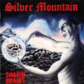 SILVER MOUNTAIN / Shakin' Brains (USED)