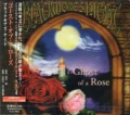 BLACKMORE'S NIGHT / Ghost Of A Rose +1 (USED)