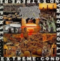 BRUTAL TRUTH / Extreme Conditions Demand Extreme Responses +3 (USED)