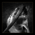 SRD / Smrti Sel - DIGI (NEW)