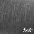 나이테 - 화 / Naiite - Hwa Split CD (NEW)