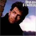 DAVID FOSTER / David Foster (USED)