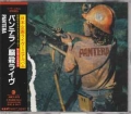 PANTERA / 脳殺ライヴ - JAPAN ONLY (USED)
