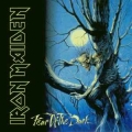 IRON MAIDEN / Fear Of The Dark (USED)