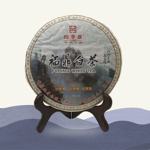 백차코리아 2014년 복정 백차 진향 노백차 350g 병차