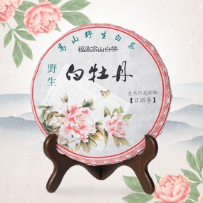 중국 복건성 복정 백차 2012년 야생백모단 300g