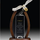 ::[성우트로피 정품]:: SUNGWOO IT 169 [트로피-TROPHY PRODUCT]!