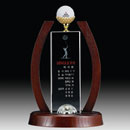 ::[성우트로피 정품]:: SUNGWOO IT 170 [트로피-TROPHY PRODUCT]!