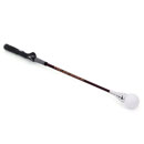 ::[KELWYN 정품]:: 켈윈 자가진단 스윙연습기 [KW-SS511]